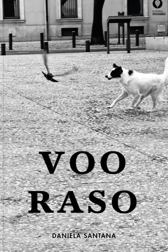 Voo Raso
